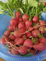 20200530_145703.webp 20200530_145703.webp