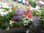 P1000554Blumenkasten.JPG