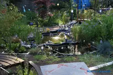 comp_DSC08955.webp