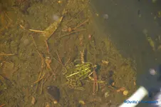 comp_DSC08951.webp