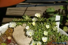 comp_DSC08952.webp