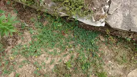 DSC_0002.webp