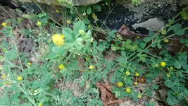 DSC_0003.webp
