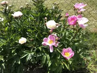B830185A-5A5B-4EEA-B13E-9169E7BD11CE.webp