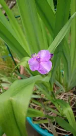 DSC_0030.webp