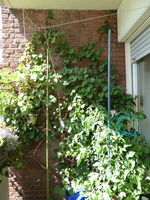 20200531_142220.webp