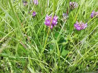 IMG_20190509_134032.webp
