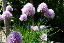 DSCN1932.webp