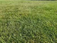 IMG_20200531_181224.webp