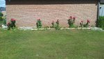 20200531_160558.jpg