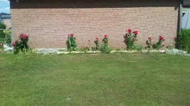 20200531_160558.jpg
