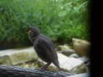 P1040363 - Kopie.JPG