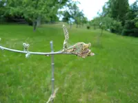 Bild.webp