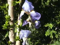 BILD1610.webp