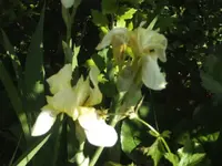 BILD1612.webp