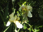 BILD1612.JPG