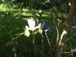 BILD1672.JPG