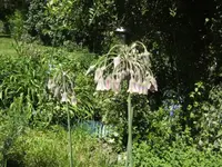 BILD1632.webp