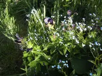 BILD1617.webp