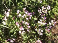 BILD1611.webp