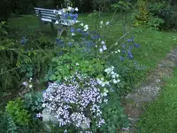 BILD1624.webp
