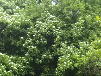BILD1628.webp