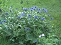 BILD1669.webp