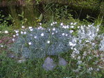 BILD1667.JPG