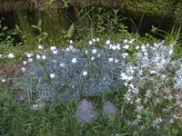 BILD1667.webp