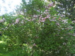 BILD1670.JPG