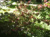 BILD1674.webp