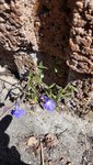 20200601_105756.jpg
