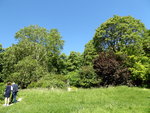 P1000603.JPG