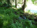 P1000607.JPG