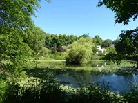 P1000610.JPG