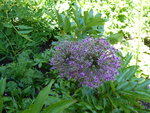 P1000647.JPG