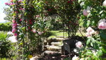 DSC02870.JPG