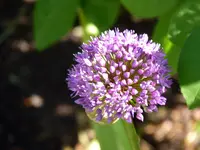 3A5C3DEC-D085-4E6F-A3EC-9F8B5E472467.webp