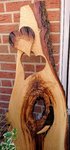 DSC_0018~2.JPG