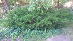 20200602_123018.jpg