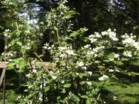 BILD1633.webp