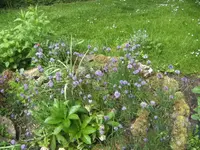 BILD1664.webp