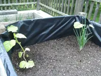 BILD1654.webp