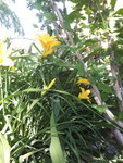 20200603_160910.jpg