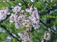 image001.webp