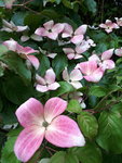 20200603_203004.jpg