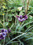20200602_200602.jpg