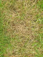 20200604_072635_resized.webp