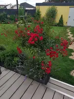 20200604_201926.webp