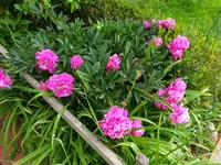 DSC01041.JPG